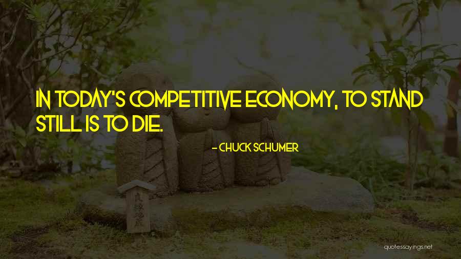 Seidell Enterprises Quotes By Chuck Schumer Seidell Enterprises Quotes By Chuck Schumer