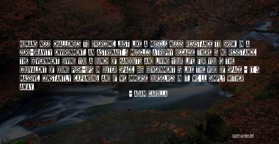 Seigaku Gif Quotes By Adam Carolla Seigaku Gif Quotes By Adam Carolla