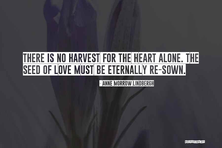 Seigen And Yukari Quotes By Anne Morrow Lindbergh Seigen And Yukari Quotes By Anne Morrow Lindbergh