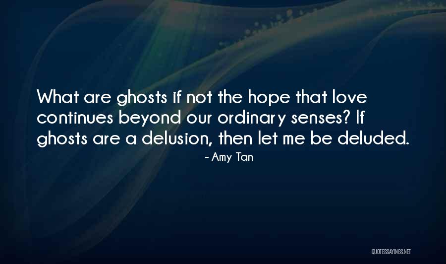 Seigneurs Home Quotes By Amy Tan Seigneurs Home Quotes By Amy Tan