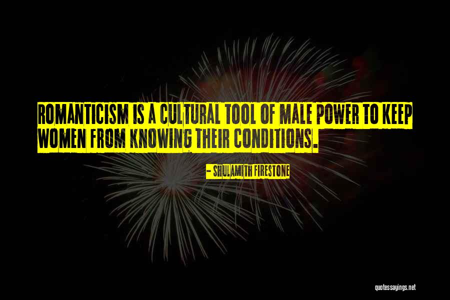 Seiichiro Yamashita Quotes By Shulamith Firestone