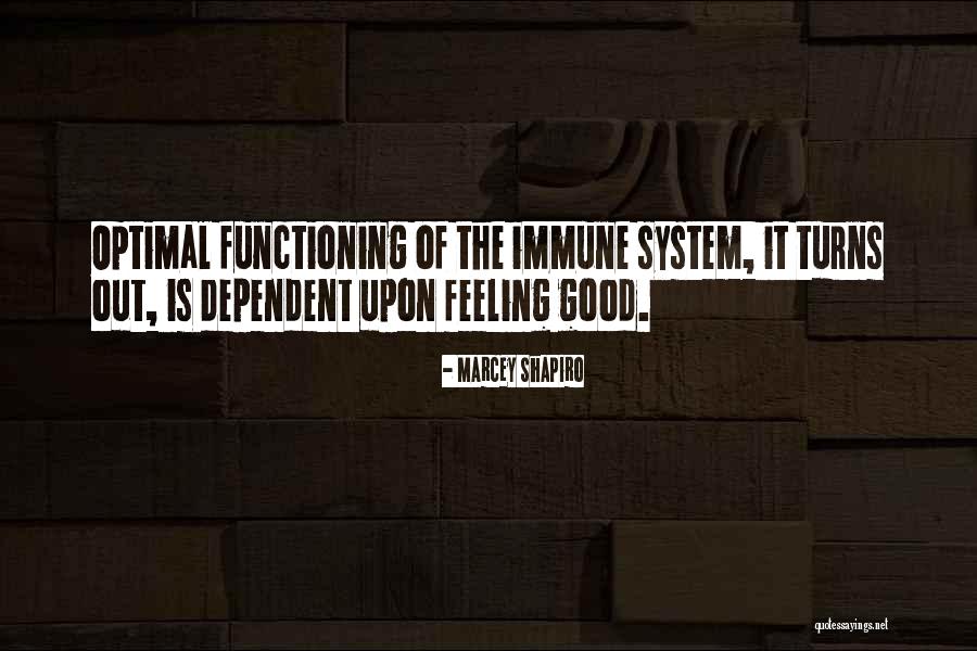 Seikei Quotes By Marcey Shapiro Seikei Quotes By Marcey Shapiro