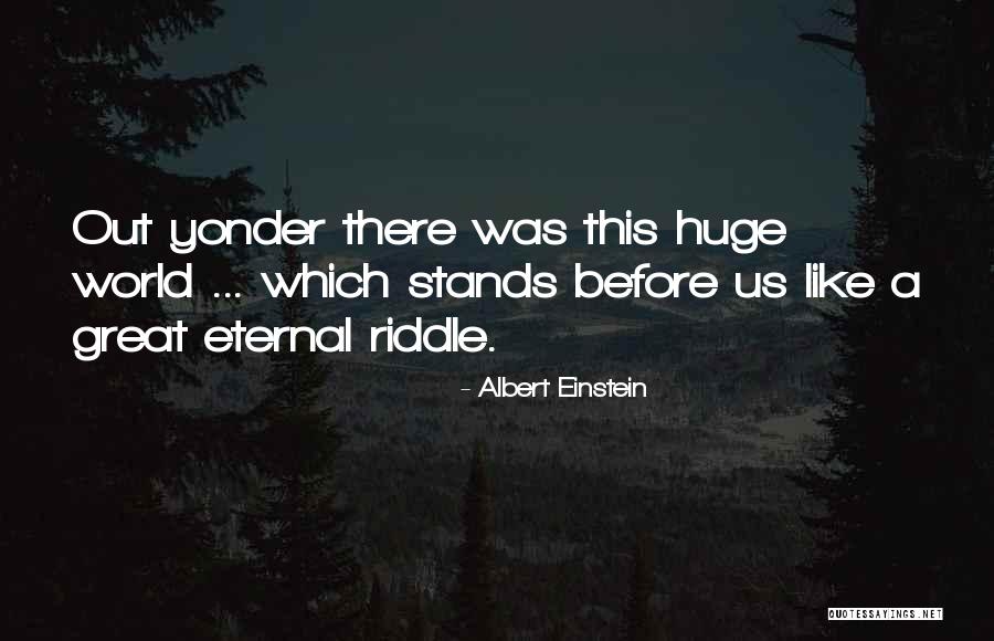 Seined Quotes By Albert Einstein Seined Quotes By Albert Einstein