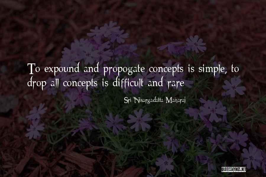 Seinfeld The Pothole Quotes By Sri Nisargadatta Maharaj Seinfeld The Pothole Quotes By Sri Nisargadatta Maharaj