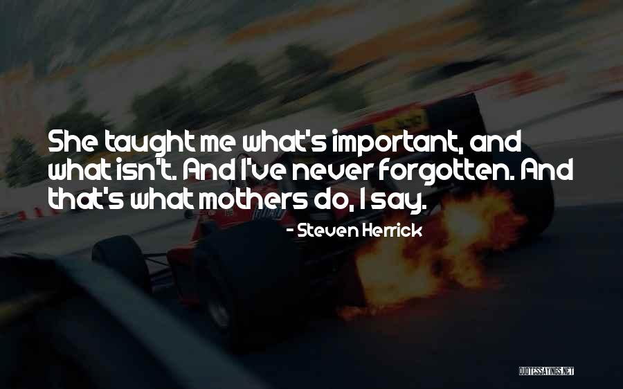 Seint Artist Quotes By Steven Herrick Seint Artist Quotes By Steven Herrick
