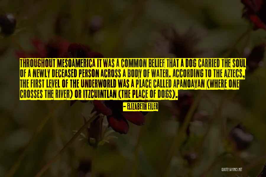 Seint Gallery Quotes By Elizabeth Eiler Seint Gallery Quotes By Elizabeth Eiler
