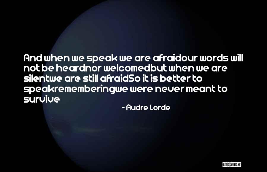 Seipp Roofing Quotes By Audre Lorde Seipp Roofing Quotes By Audre Lorde