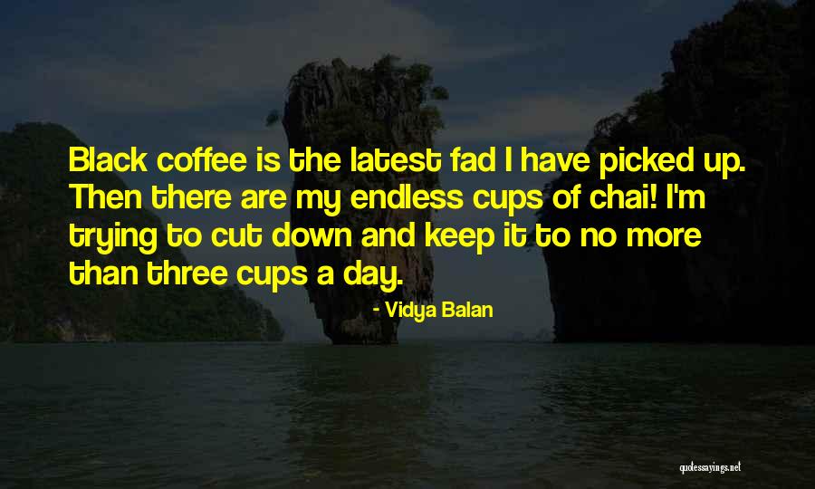 Seiran Aircraft Quotes By Vidya Balan Seiran Aircraft Quotes By Vidya Balan