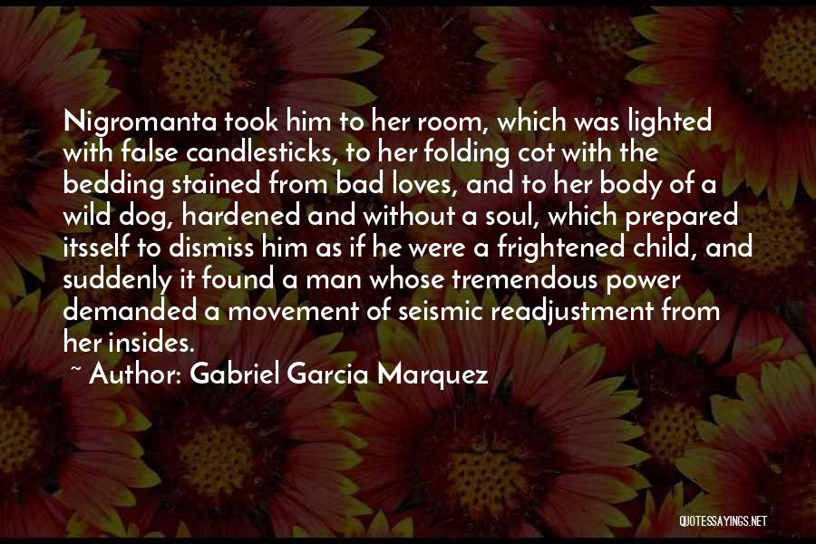 Seismic Quotes By Gabriel Garcia Marquez