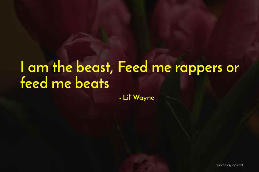 Seitenmarkise Quotes By Lil' Wayne Seitenmarkise Quotes By Lil' Wayne
