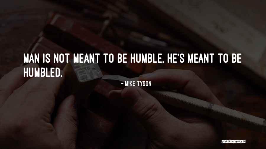 Seitter In New Haven Quotes By Mike Tyson Seitter In New Haven Quotes By Mike Tyson