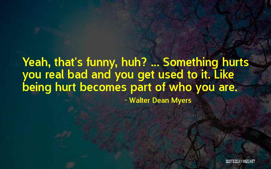 Seixo Quebrado Quotes By Walter Dean Myers Seixo Quebrado Quotes By Walter Dean Myers