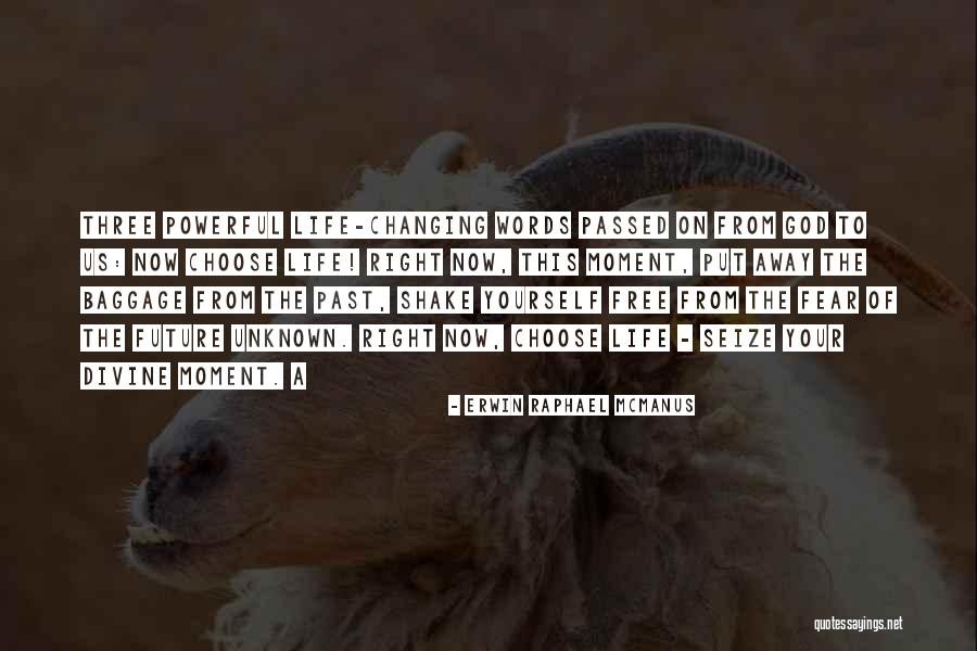 Seize Life Quotes By Erwin Raphael McManus Seize Life Quotes By Erwin Raphael McManus