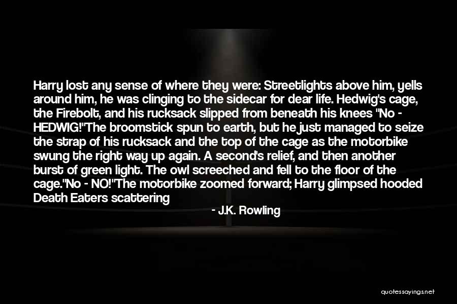 Seize Life Quotes By J.K. Rowling Seize Life Quotes By J.K. Rowling
