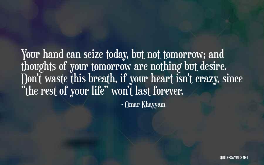 Seize Life Quotes By Omar Khayyam Seize Life Quotes By Omar Khayyam