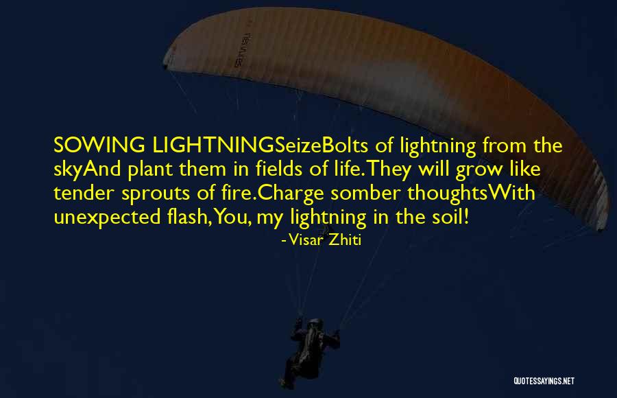 Seize Life Quotes By Visar Zhiti Seize Life Quotes By Visar Zhiti