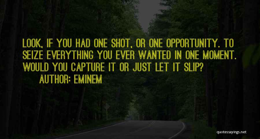 Seize Opportunity Quotes By Eminem