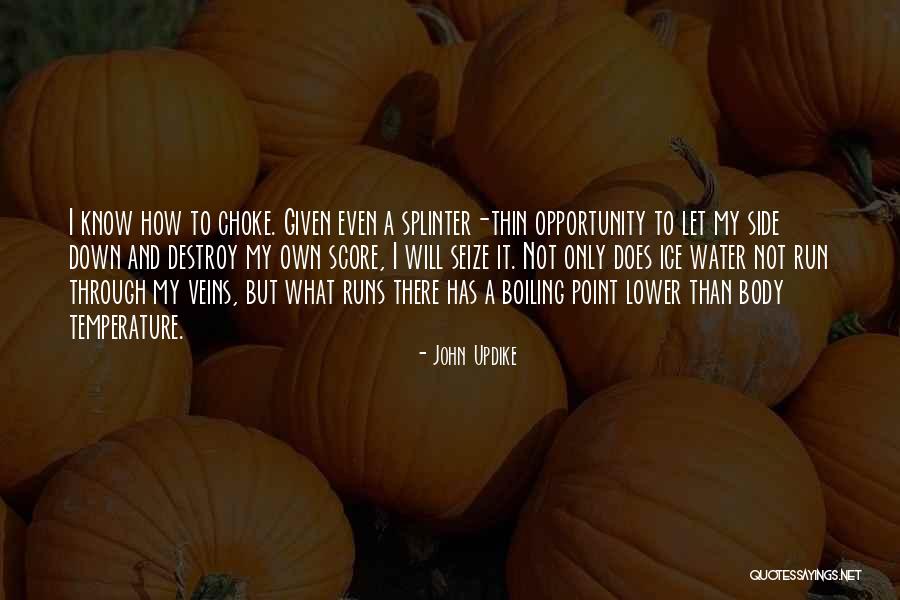 Seize Opportunity Quotes By John Updike