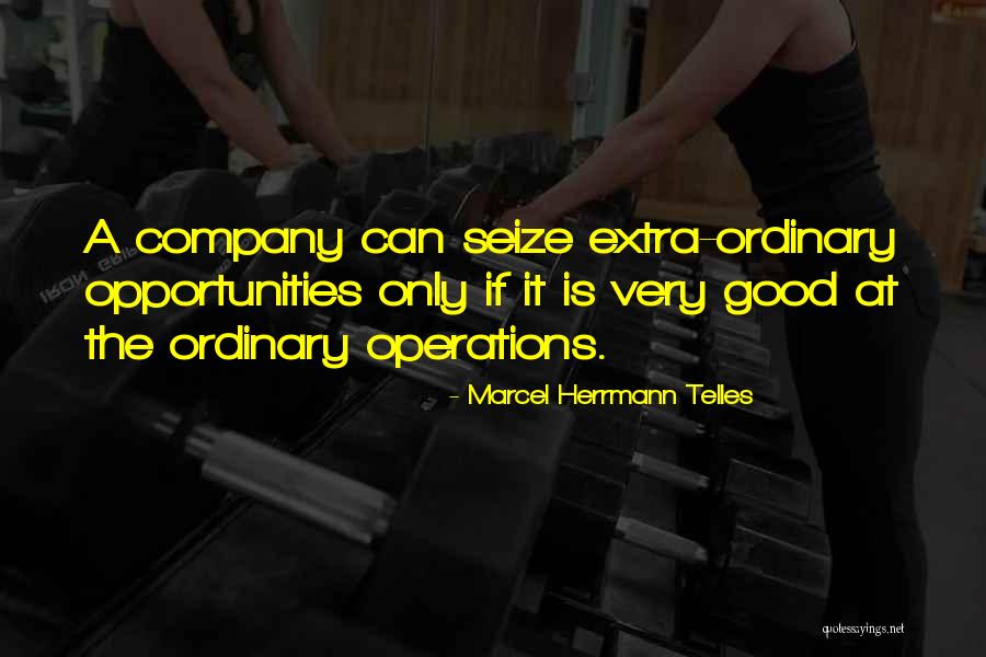 Seize Opportunity Quotes By Marcel Herrmann Telles