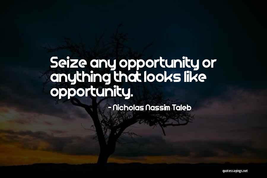 Seize Opportunity Quotes By Nicholas Nassim Taleb