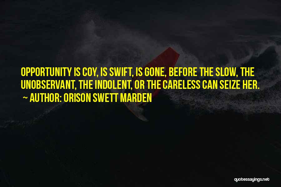 Seize Opportunity Quotes By Orison Swett Marden Seize Opportunity Quotes By Orison Swett Marden