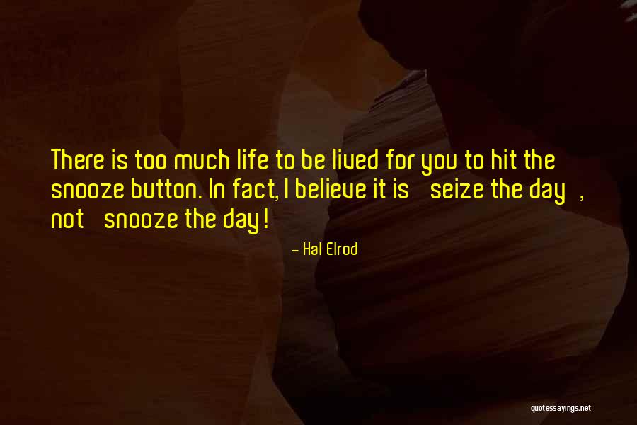 Seize The Day Quotes By Hal Elrod