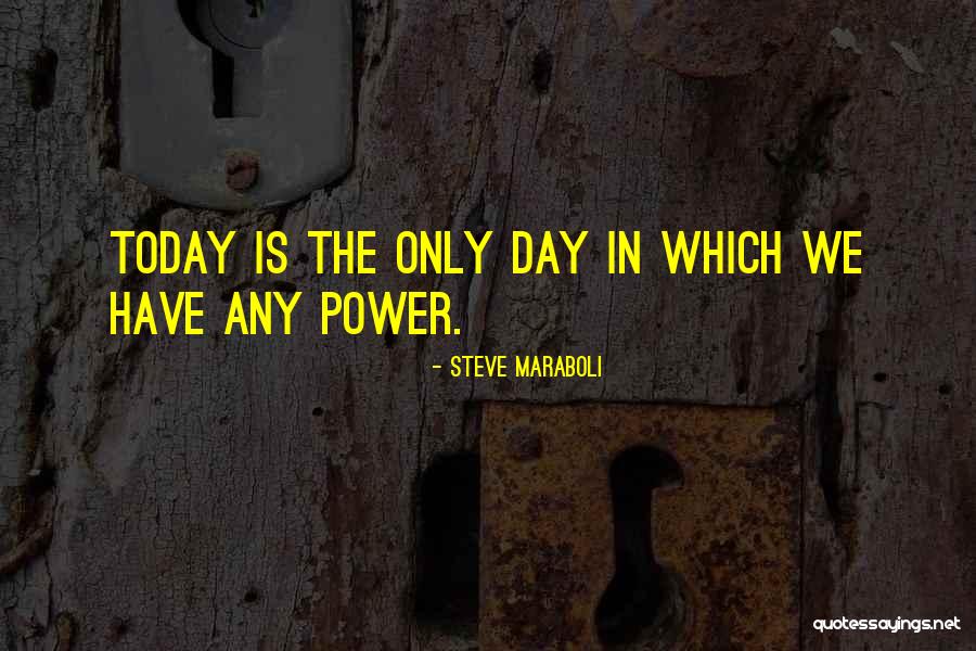 Seize The Day Quotes By Steve Maraboli