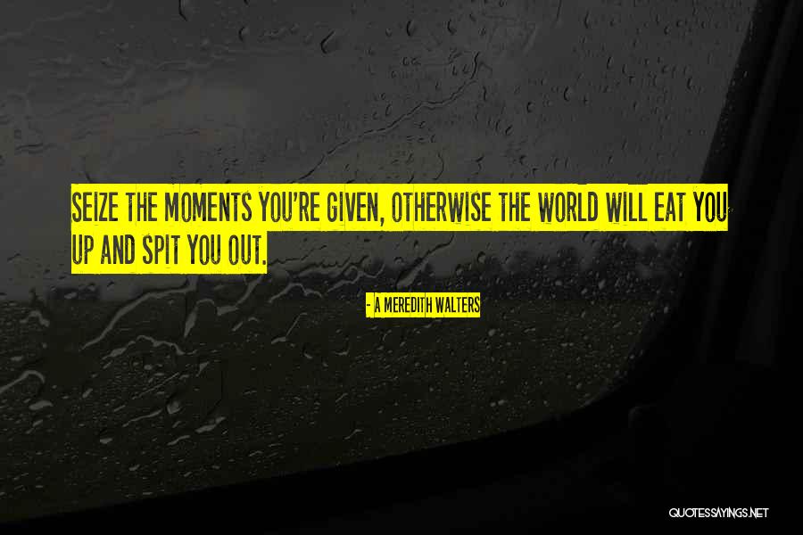 Seize The Moments Quotes By A Meredith Walters Seize The Moments Quotes By A Meredith Walters