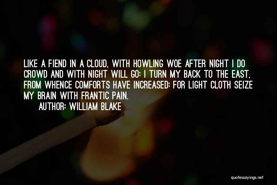 Seize The Night Quotes By William Blake