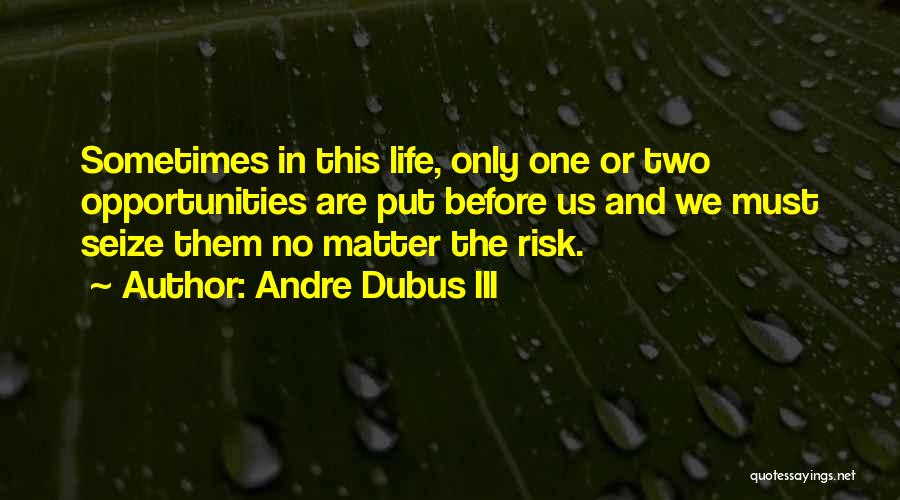 Seize The Opportunity Quotes By Andre Dubus III