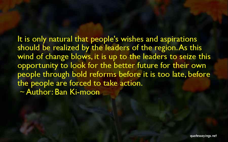 Seize The Opportunity Quotes By Ban Ki-moon