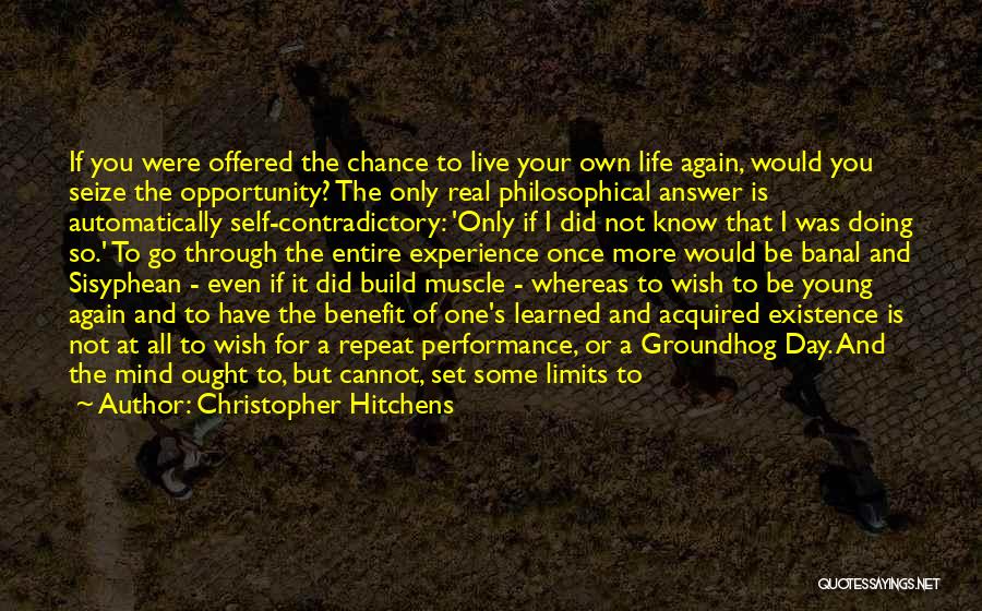 Seize The Opportunity Quotes By Christopher Hitchens