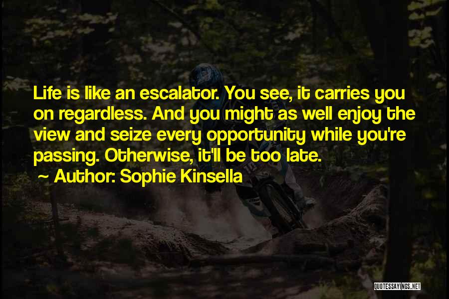 Seize The Opportunity Quotes By Sophie Kinsella