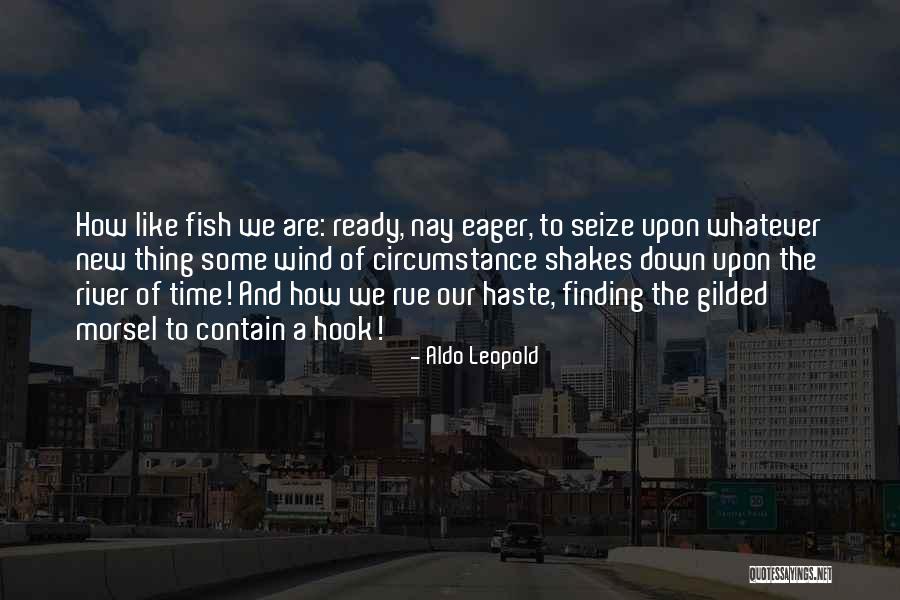 Seize Time Quotes By Aldo Leopold