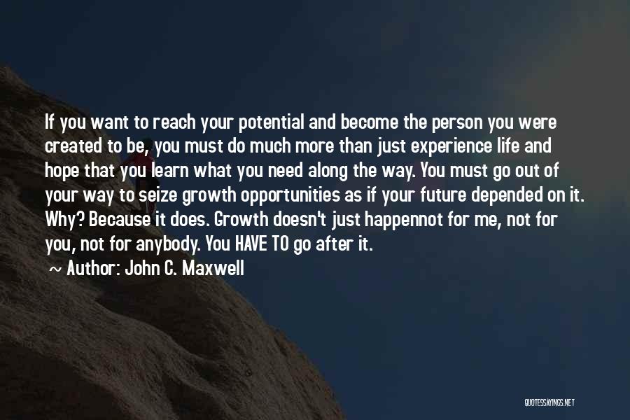 Seize Your Opportunities Quotes By John C. Maxwell