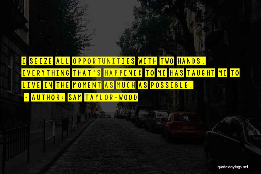 Seize Your Opportunities Quotes By Sam Taylor-Wood