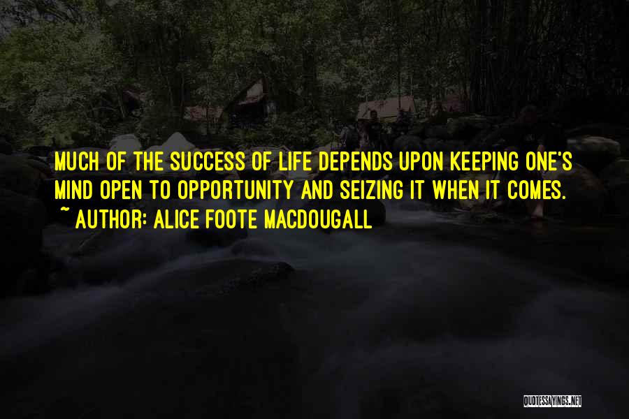 Seizing The Opportunity Quotes By Alice Foote MacDougall