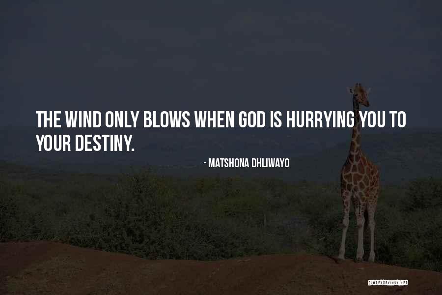 Sejal Desai Quotes By Matshona Dhliwayo