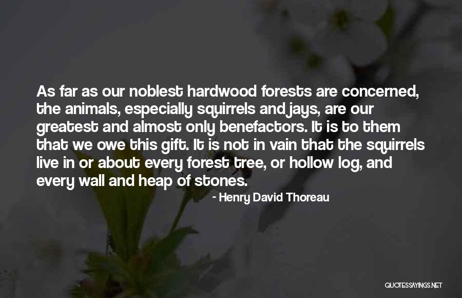 Sejas Masku Quotes By Henry David Thoreau Sejas Masku Quotes By Henry David Thoreau
