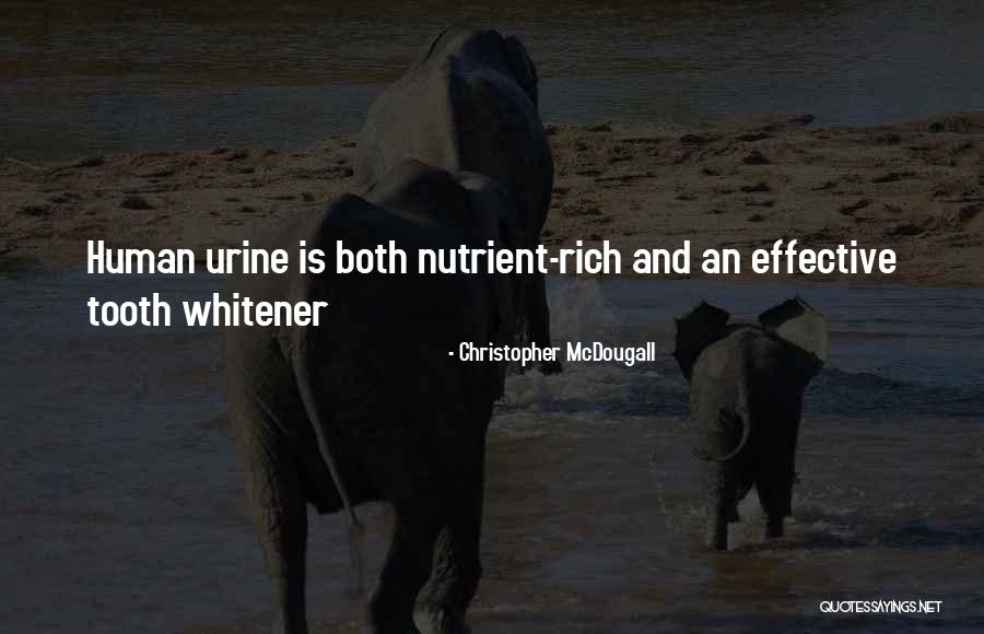 Sekhukhune Fet Quotes By Christopher McDougall Sekhukhune Fet Quotes By Christopher McDougall