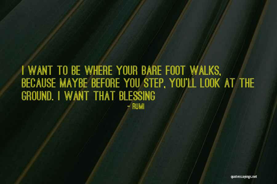 Sekine Dayi Quotes By Rumi Sekine Dayi Quotes By Rumi