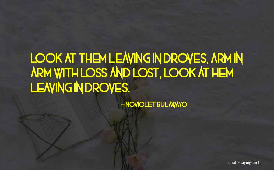 Sekoci Penolong Quotes By NoViolet Bulawayo Sekoci Penolong Quotes By NoViolet Bulawayo