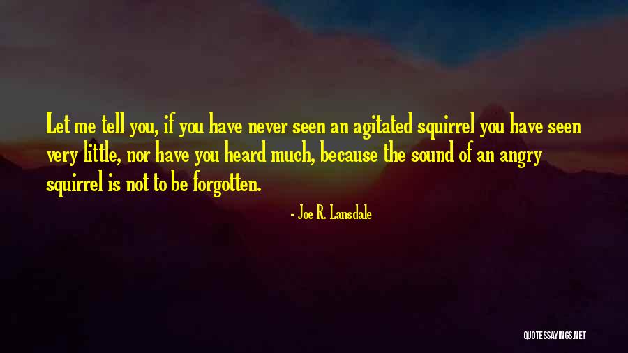 Sekunden Kleber Quotes By Joe R. Lansdale Sekunden Kleber Quotes By Joe R. Lansdale