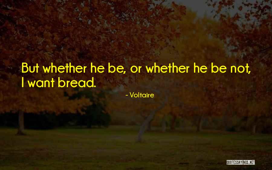 Selalu Ada Harapan Quotes By Voltaire Selalu Ada Harapan Quotes By Voltaire