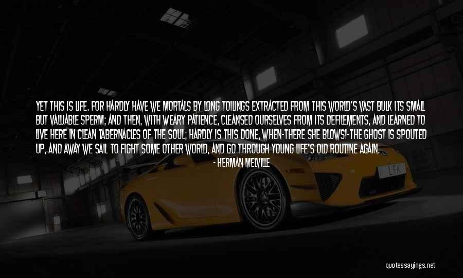 Selber Brothers Quotes By Herman Melville Selber Brothers Quotes By Herman Melville