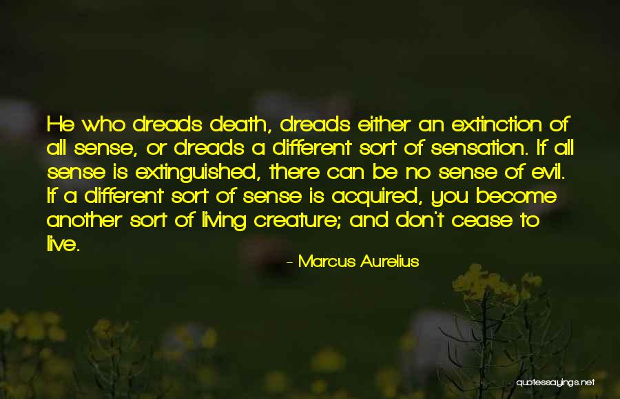 Selected Crossword Quotes By Marcus Aurelius Selected Crossword Quotes By Marcus Aurelius