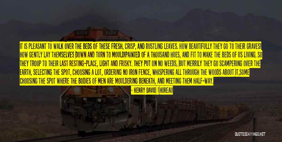 Selecting The Best Quotes By Henry David Thoreau Selecting The Best Quotes By Henry David Thoreau