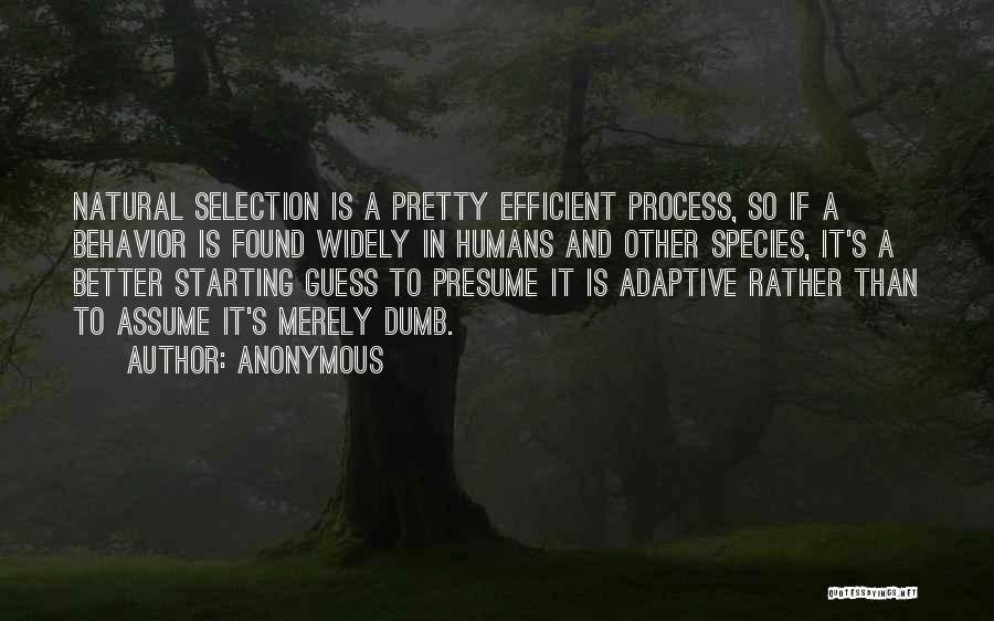 Selection Process Quotes By Anonymous