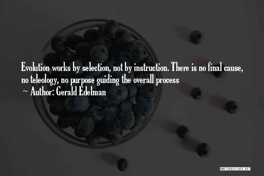 Selection Process Quotes By Gerald Edelman