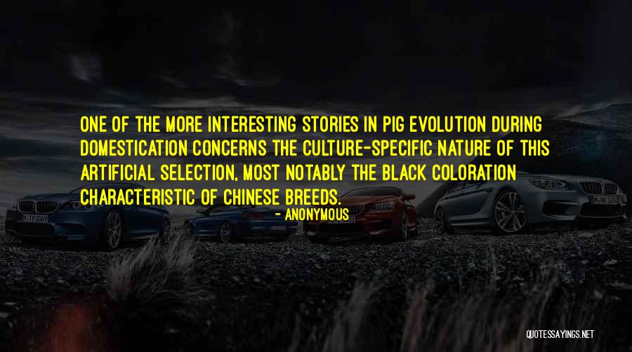 Selection The One Quotes By Anonymous Selection The One Quotes By Anonymous